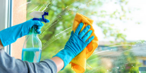 Window Cleaning
