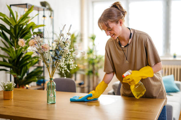 Dining Table Cleaning Services in Guntur